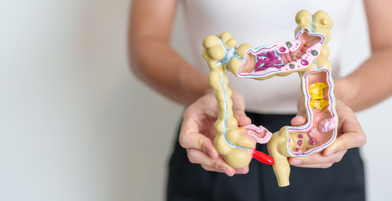 O papel da microbiota intestinal na progressão e terapia das doenças autoimunes