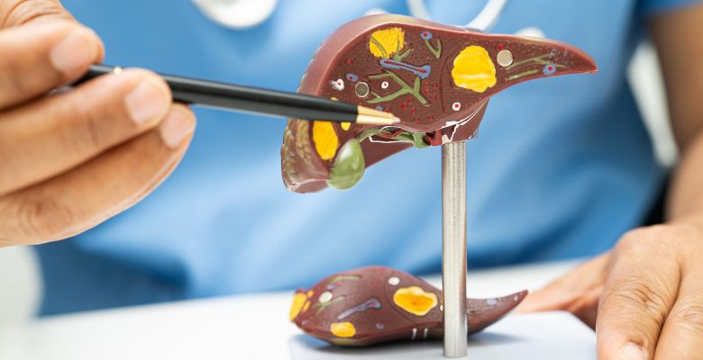 Marcadores autoimunes no fígado: estudo nacional alerta para falsos diagnósticos de hepatite