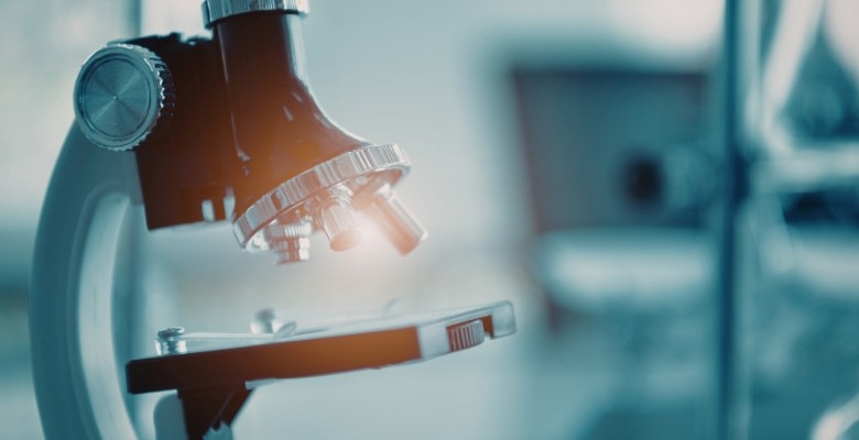 Investigadores identificam papel central da proteína CD38 nas doenças autoimunes